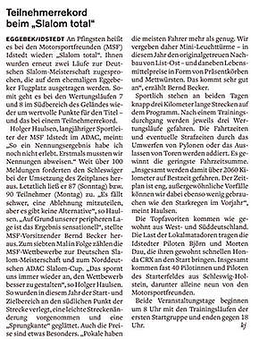 Schleswiger Nachrichten vom 3.6.2017