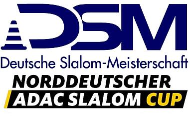 DSM/NAS-Cup